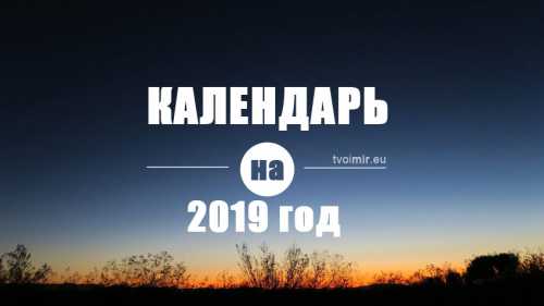 100 лет киту