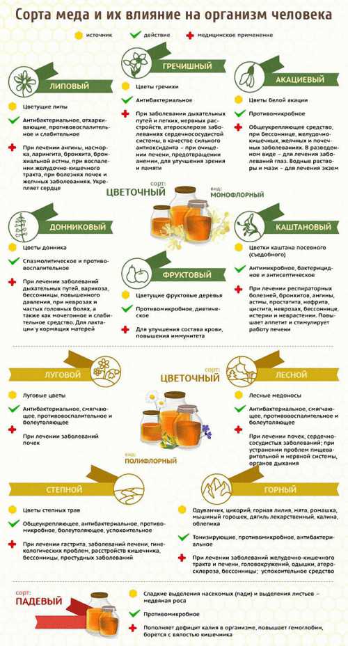 кунжут: полезные свойства витаминов, микроэлементов и фитоэстрогенов